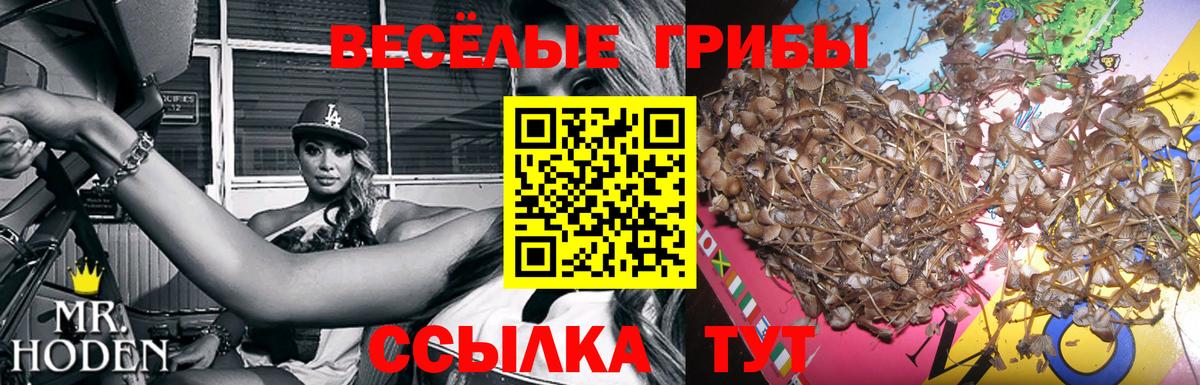 Галлюциногенные грибы MAGIC MUSHROOMS Октябрьский