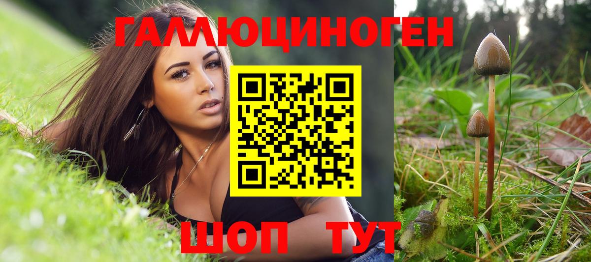 закладка  Галлюциногенные грибы Psilocybine cubensis  Октябрьский  Вход с VPN  Галлюциногенные грибы мухоморы 